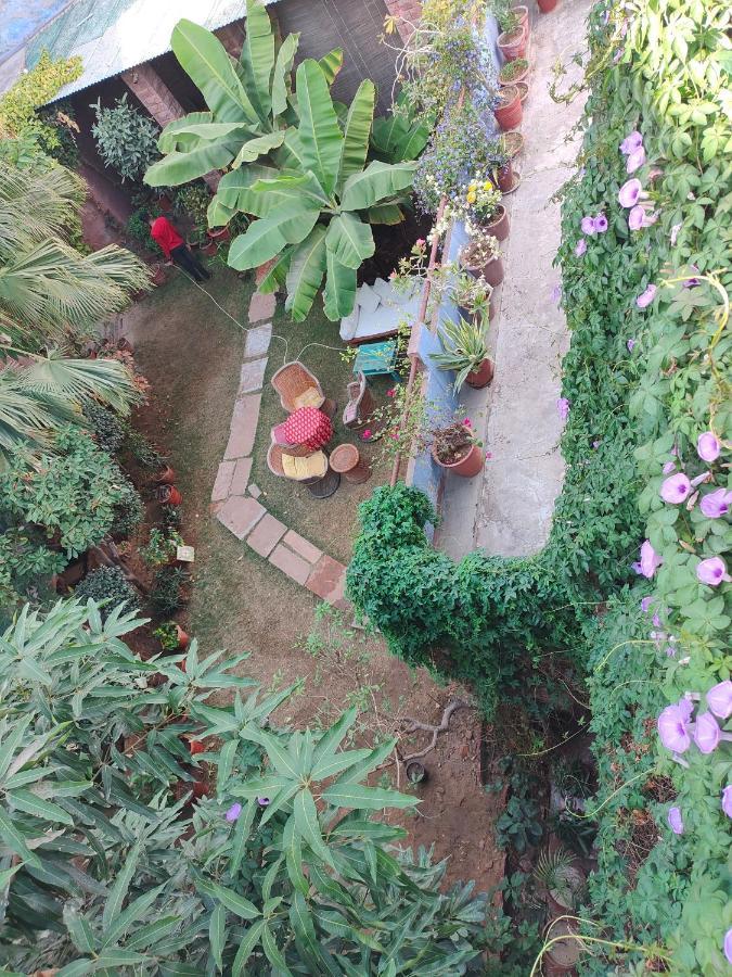 Bristows Haveli Homestay Džódhpur Exteriér fotografie